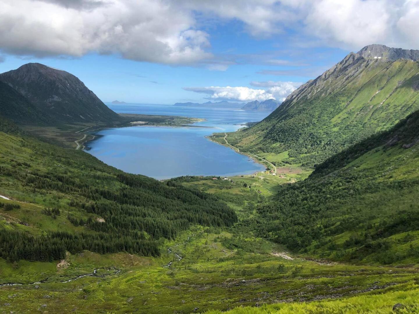 Flott I Morfjorden,